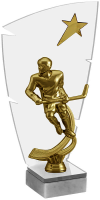 Акриловая награда Хоккей 2873-210-101