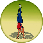 Акриловая эмблема акробатика 25 мм 1337-025-000