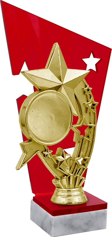 Акриловая награда Мицар 1792-220-202