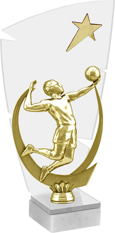 Акриловая награда Волейбол 2873-210-300