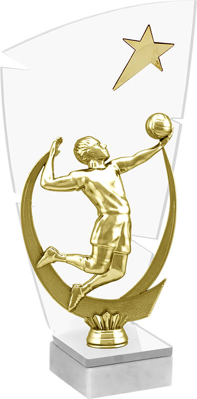 Акриловая награда Волейбол 2873-210-301