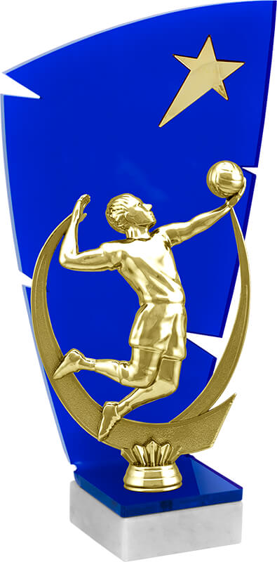 Акриловая награда Волейбол 2873-210-303
