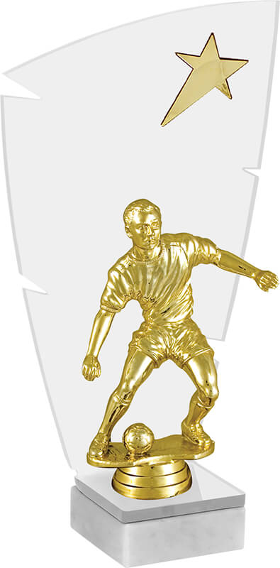 Акриловая награда Футбол 2873-210-500