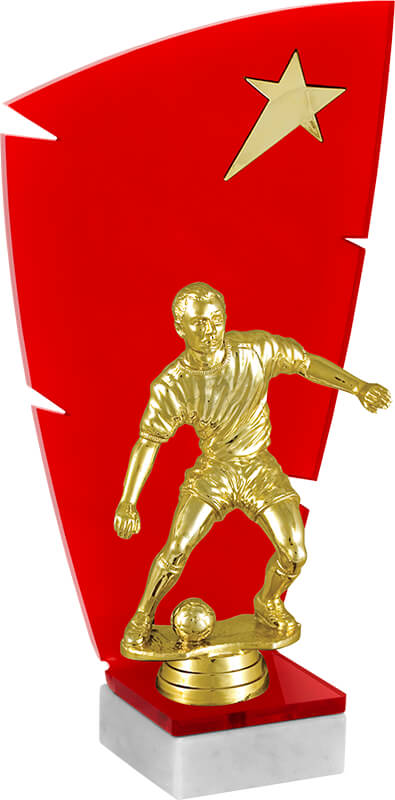 Акриловая награда Футбол 2873-210-502