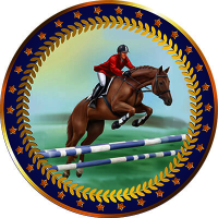 Акриловая эмблема Конный спорт 1399-050-206