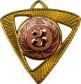 Медаль Шервинта 1,2,3 место