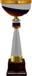 Кубок Россия