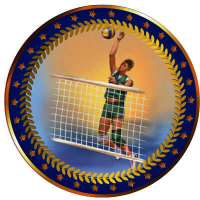 Акриловая эмблема Волейбол мужской 1399-025-203