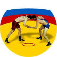 Акриловая эмблема борьба 1324-050-011