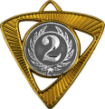 Медаль Шервинта 1,2,3 место