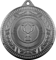 Медаль Вяземка 3610-070-200