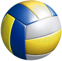 Акриловая эмблема волейбол 1312-050-011