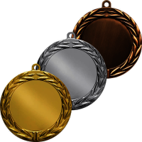 Комплект медалей Водла (3 медали) 3577-070-000