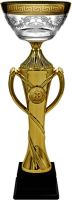 Кубок Модест 1,2,3 место 4626-340-103