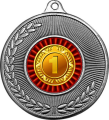 Медаль 1,2,3 место