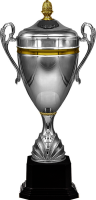 Кубок Титаний 9861-490-210