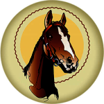 Акриловая эмблема конный спорт