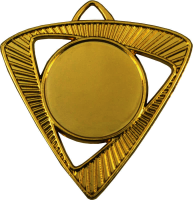 Медаль Шервинта 3587-050-100