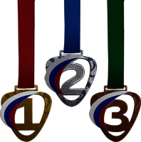 Комплект медалей Зореслав 70мм (3 медали) 3654-070-235