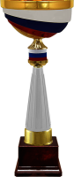 Кубок Россия 4652-320-129