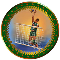 Акриловая эмблема Волейбол мужской 1399-050-303