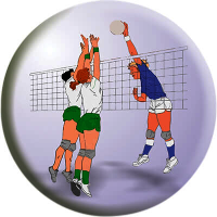 Акриловая эмблема волейбол 1312-025-008