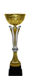 Кубок Роллинг