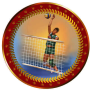 Акриловая эмблема Волейбол мужской 50 мм