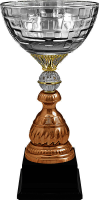 Кубок Ньютон 5910-390-300
