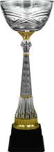 Кубок Катарина 4493-450-200
