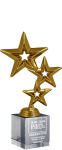 Награда Звезды с гравировкой 2874-200-ГР0