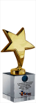 Награда Звезда с УФ-печатью 2866-150-УФ0