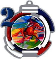 Акриловая медаль Конный спорт 1,2,3 место 1785-003-002