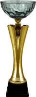 Кубок Камелот 4620-350-100