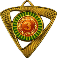 Медаль Шервинта 1,2,3 место 3587-050-113