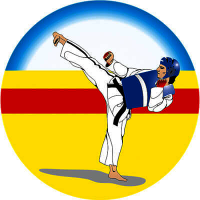 Акриловая эмблема  Тхэквондо 1374-050-003