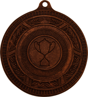Медаль Вяземка 3610-070-300