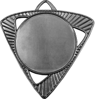 Медаль Шервинта 3587-070-200