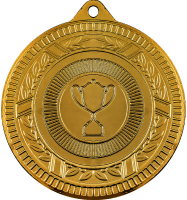 Медаль Вяземка 3610-070-100