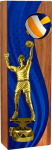 Награда из натурального дерева Волейбол 2826-250-003