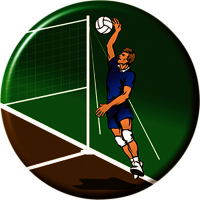 Акриловая эмблема волейбол 1312-050-000