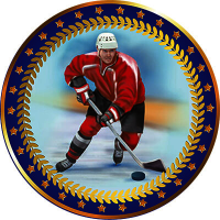 Акриловая эмблема Хоккей 1399-025-216