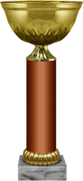 Кубок Рокси 5925-200-300