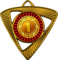 Медаль Шервинта 1,2,3 место