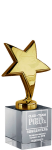 Награда Звезда с гравировкой 2866-150-ГР0