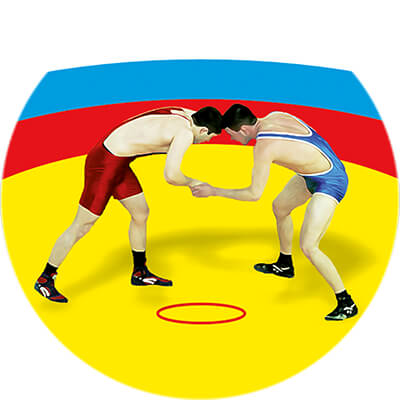 Акриловая эмблема борьба 1324-050-011