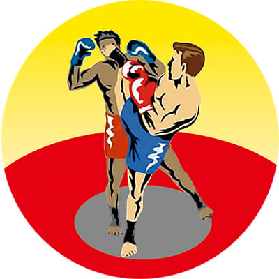 Акриловая эмблема кикбоксинг 1367-050-003