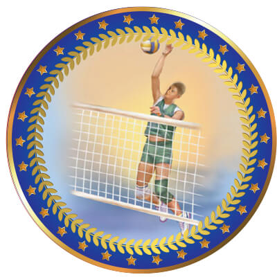 Акриловая эмблема Волейбол мужской 1399-025-203