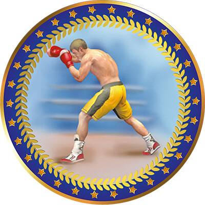 Акриловая эмблема Бокс 1399-050-205