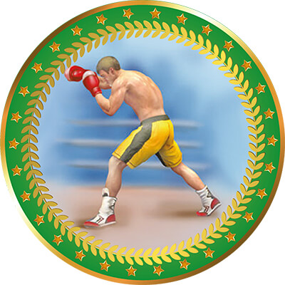 Акриловая эмблема Бокс 1399-050-305